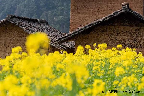 不去這10個美景地 就真的辜負了這個春天