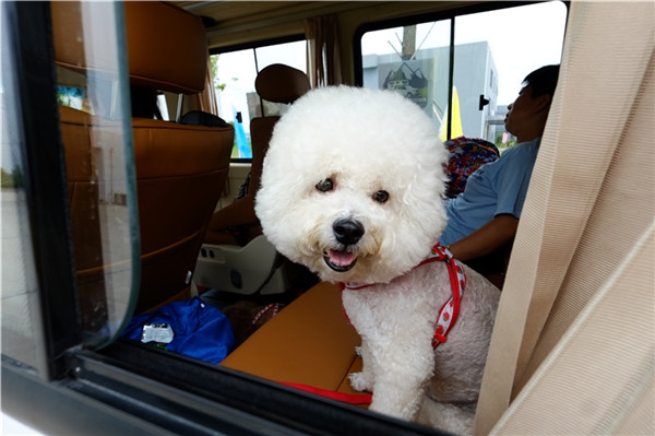 若爾蓋草原房車自駕之旅已于7月10日正式出發(fā)