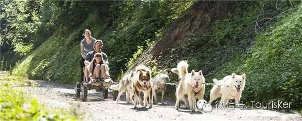 在這里露營，一年四季都景色如畫