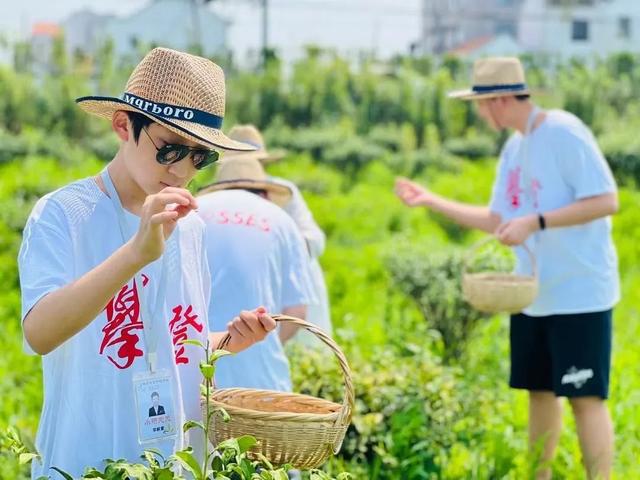 露營+房車+帳篷+...金山這些親子納涼游玩好去處，你都知道嗎？